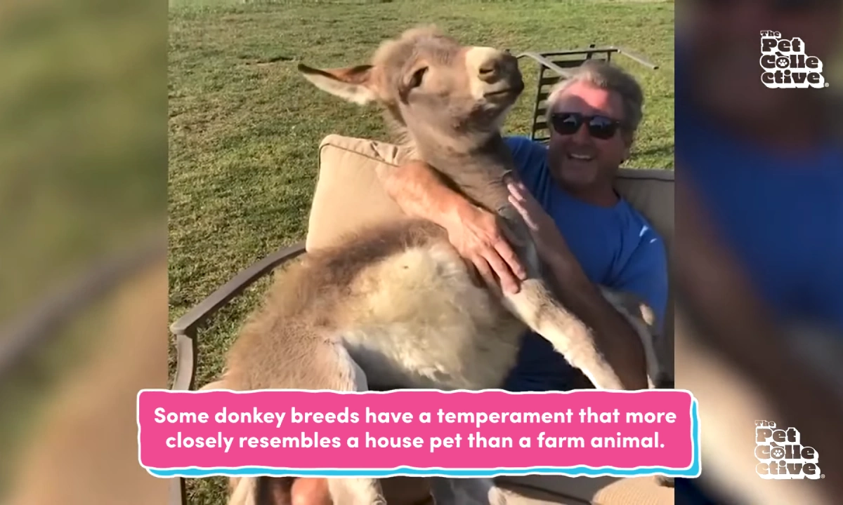 Internet: el nuevo gran motor de la producción televisiva